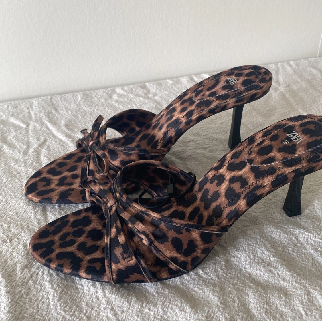 Leopard klackar  - 91