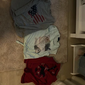 Tre tröjor i olika stilar - Säljer tre tröjor i olika stilar. En grå långärmad tröja med en glittrig fjäril i amerikanska flaggans färger, en mintgrön kortärmad topp med tryck av djur och text, samt en röd pikétröja med ett hästmotiv. Perfekta för olika tillfällen och stilar! 20kr styck