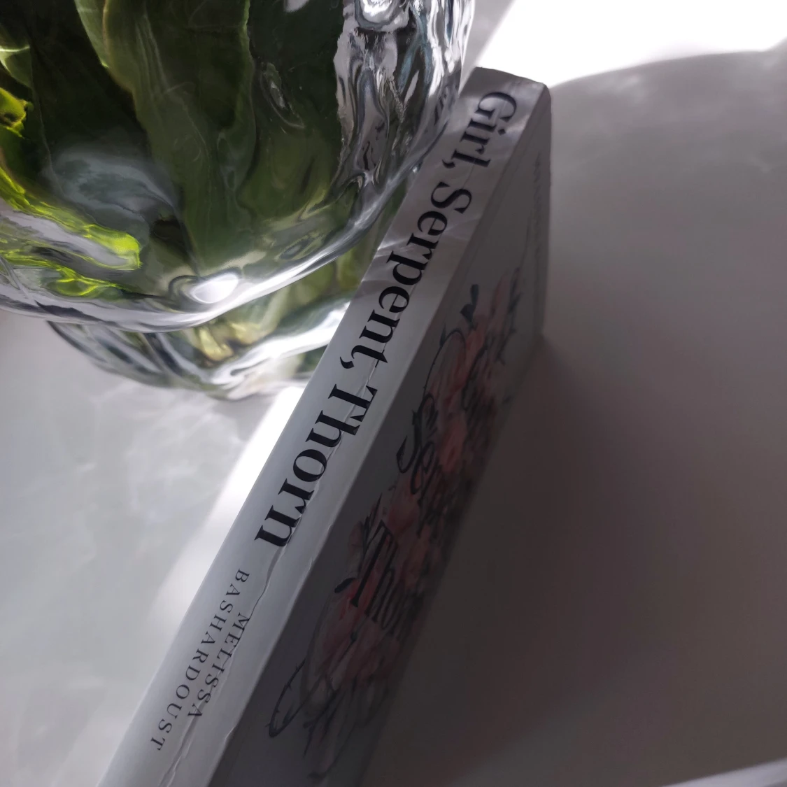 Girl Serpent Thorn av Melissa Bashardoust - 91