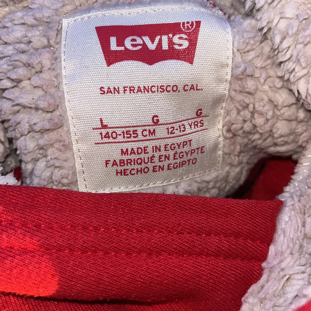 Säljer en snygg röd hoodie från Levi's  för ungdomar. Den har en mysig fodrad insida och en klassisk logga på bröstet. Perfekt för kyliga dagar och ger en cool look. Passar både till vardags och chill.. Tröjor & Koftor.