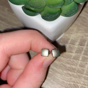  Örhängen  -  Örhängena är silver. + Frakt 🚚 