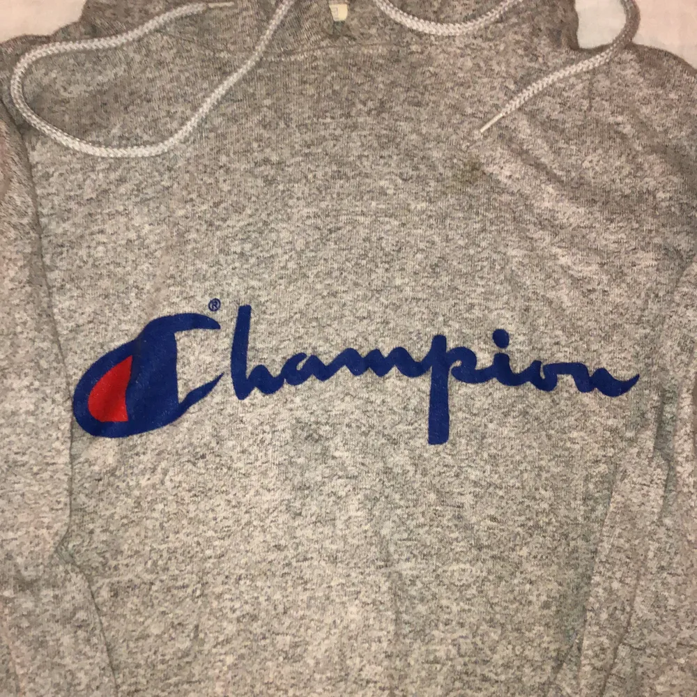 Grå Championhoodie. Storlek Xl, passar som en l. Bra skick. Tröjor & Koftor.