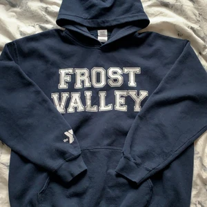 Vintage hoddie - skitsnygg vintage hoddie, fint skick!!☺️💘