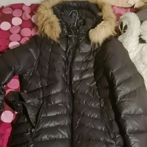 Hollies Jacka - Stl 40