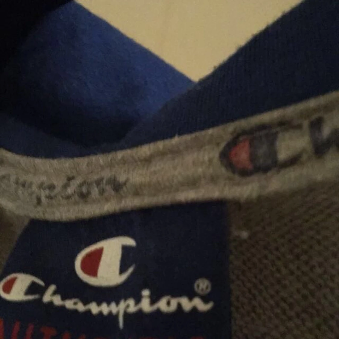 Champion tröja (grå) - 91