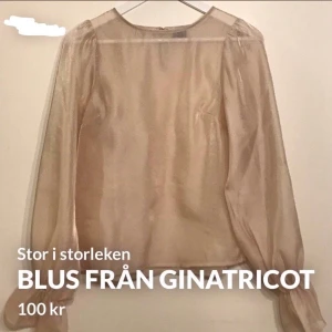 Blus från ginatricot  - Transparent nude färgad blus från ginatricot, endast använd 1 gång. Storlek 34, men den är stor i storleken så hade även kunnat passa en 36 🌸