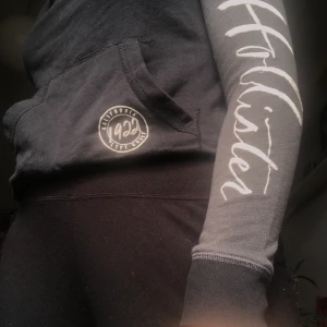 Hollister hoodie - Tjocktröja med polokrage och magficka. 