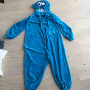  - Kakmonster dräkt från Kina, köpt för länge sen. Det kallas något speciellt men kommer inte ihåg.🌈