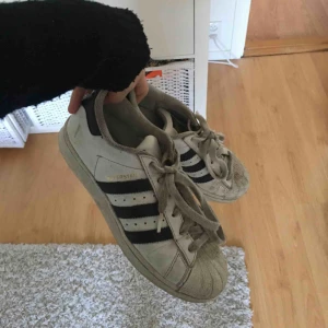  - Adidas superstar i svart och vitt! 