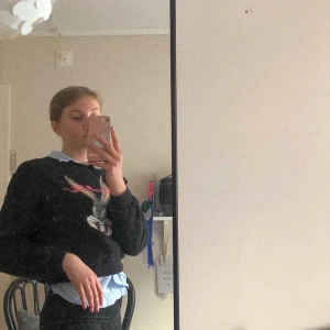 Sweatshirt ”Looney Tunes” 🐰 - Sweatshirt från H&M med trycket ”Looney Tunes” 🐰! Välanvänd men fortfarande god kvalitet. BETALNING SKER VIA SWISH 