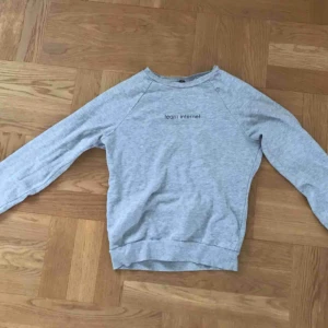  - Grå sweatshirt med tryck på Storlek: xs Bra skick! Fraktar( köparen står för kostnaden)