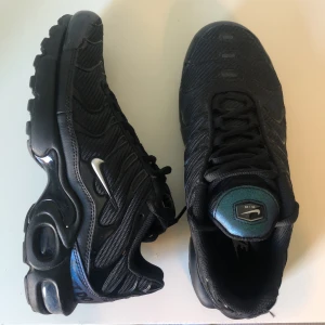 Nike Air Max Plus  - Köpta för något år sedan och endast använda ett fåtal gånger, köpta på barnavdelningen så passar perfekt till dig som har storlek 38, priset kan diskuteras vid snabb affär ☀️☀️