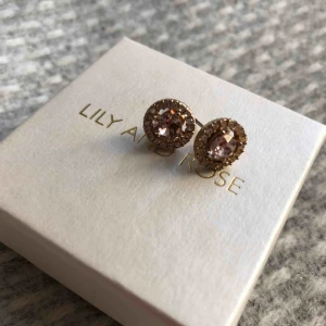  - Super fina örhängen från Lily and rose. Aldrig använda 