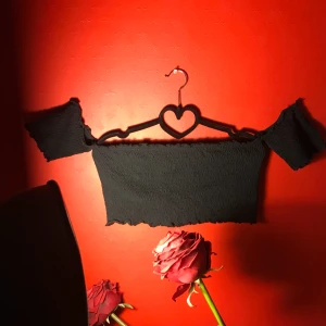  - Topp från Zara i strl L. Använd ett fåtal gånger men är tyvärr för stor. 99kr med frakt vart som i Sverige. Är i bra skick!