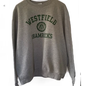 Grå vintage champion sweater  - Grå vintage champion sweater med grönt tryck ⚡️ buda i kommentarerna från 450, säljes direkt för 600 ⚡️