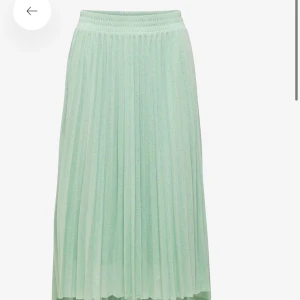 Plisserad kjol från zara - Kjol som jag ej använder från zara. Pris diskuteras.