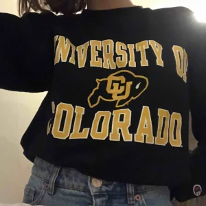  - Suuperfin och mysig vintage championtröja! Den är i väldigt fint vintage skick. Står storlek XS men den är mer som en S. Säljs då den tyvärr inte kommer till användning längre:(  köparen står för frakten, kan annars mötas upp :)