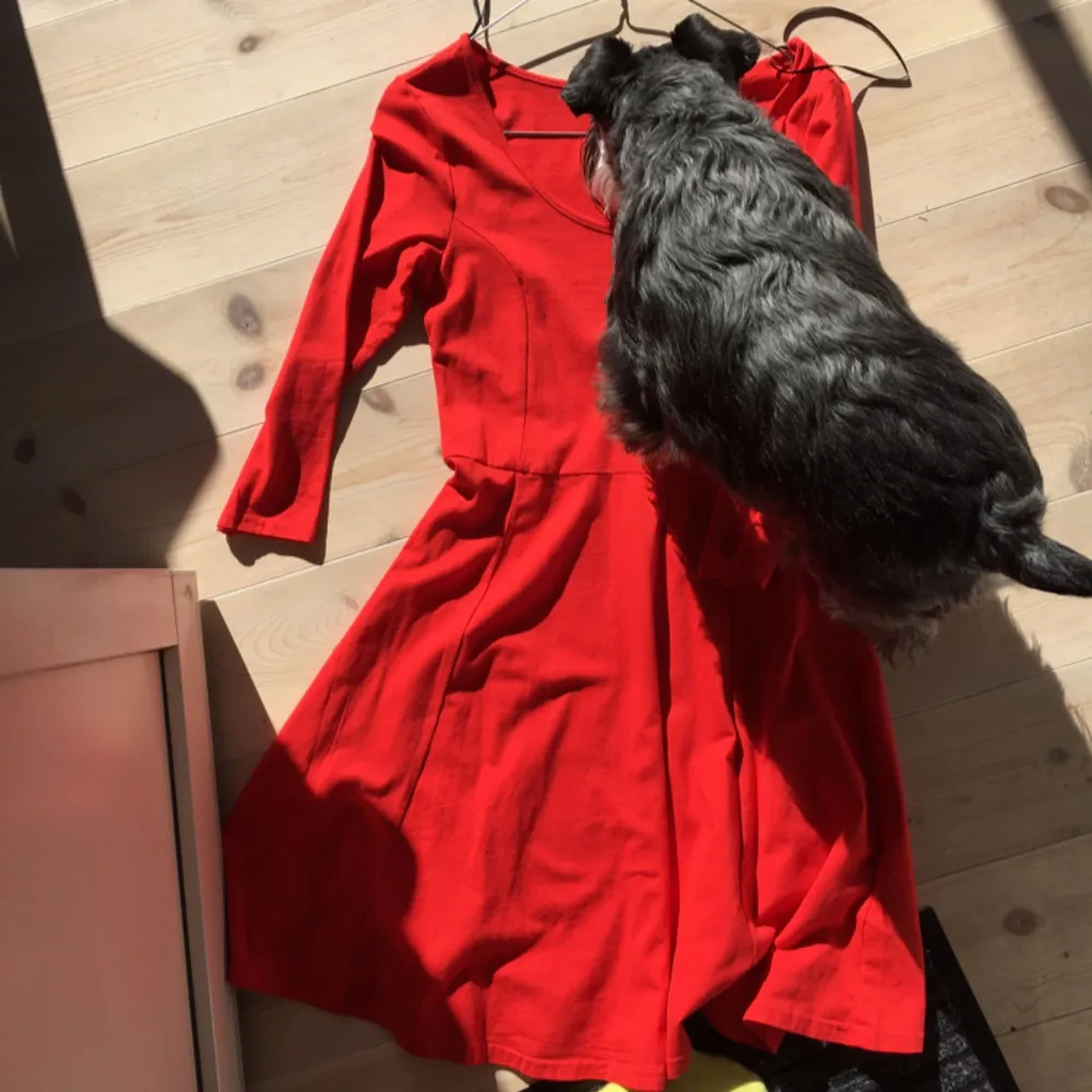 🌷Röd fitted klänning från HM, något urringad och oanvänd. Passar för våren 🌹. (Hund ingår inte och fäller inte samt klänningen tvättades efter fotot blivit taget). Köparen står för frakt 😊. Klänningar.