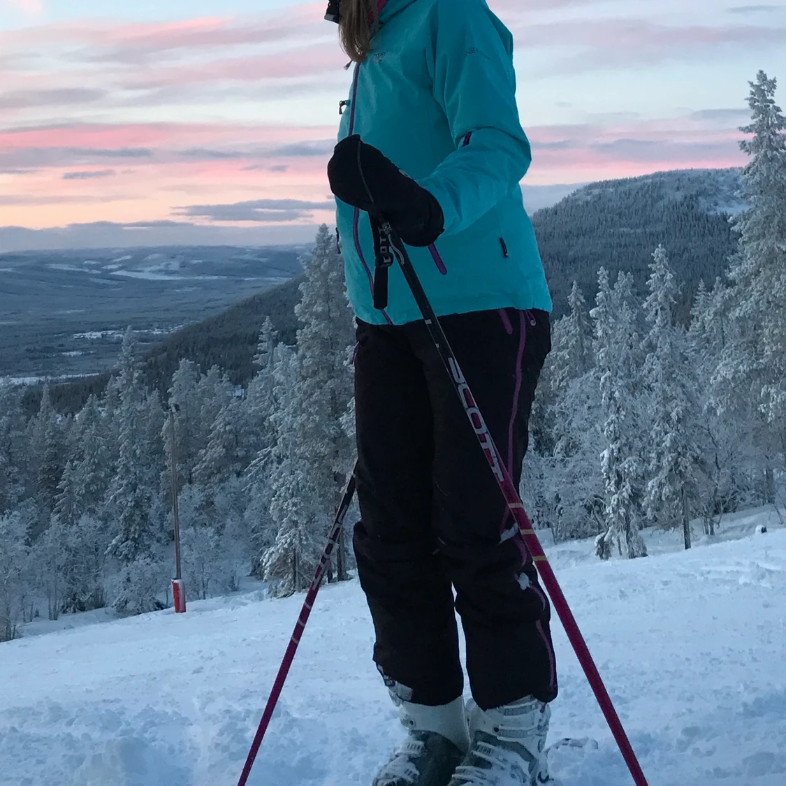 Skidställ 2117 - 76