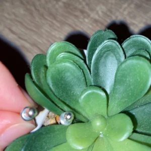 Örhängen -  Örhängen är silver . + Frakt 🚚 