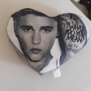 Justin Bieber kudde - Justin Bieber kudde med WHAT DO YOU MEAN? Jag glömde att nu när den kostar 100 kr så betalar jag frakt