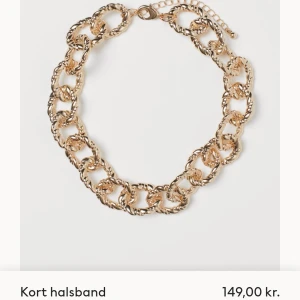 Halsband  - Oanvänd❗köpt för 149kr, säljer för endast 75kr.       Ett kort halsband av kraftig metallkedja. Reglerbar längd, 41–49 cm. Zinken i halsbandet är återvunnen.