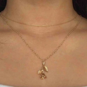  - Guldigt ros halsband! använd 1 gång! inget problem med den!