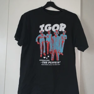 Golf IGOR tshirt stl M - Köpt på Tylers konsert i London 2019, så cool men kommer inte till användning längre! Högsta bud 500kr + frakt minsta höjning 20kr
