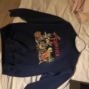 Sweatshirt  - Mysig sweatshirt som tyvärr inte kommer till användning längre! Lappen är bortklippt men skulle säga att den är en L🌸köparen står för frakten🌸 budgivningen slutar 16/10 kl 13:00