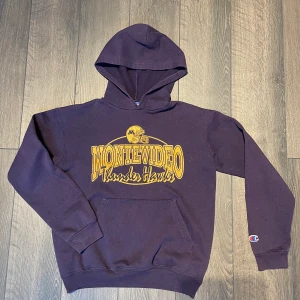 Vintage Champion hoodie - Vintage Champion hoodie i storlek barn L (sitter ungefär som vuxen XS. Bra skick. Mått kan ordnas! Klicka in på profilen för massvis med andra vintage tröjor! 🙏🏻