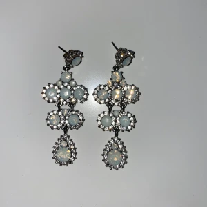 Örhängen  - Ett par väldigt fina örhängen från Lily and Rose, sparsamt använda✨🌼