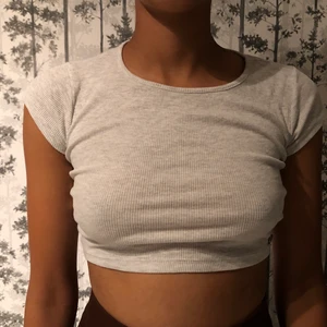 Robbad ljusgrå croptop - Ribbad croptop i ljusgrå 