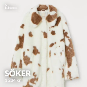 SÖKER - Söker denna kappa från h&m i storlek XS eller S
