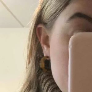  - Brunspräckliga örhängen.  Ej använda. Helt nya.