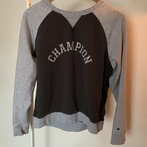 Champion tröja  - Champion tröja köpt i USA. Står att det är en storlek L men skulle säga att den är en oversized S. 