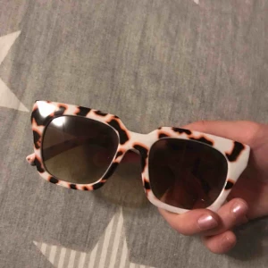  - Coola solglajjer från plt😎😎