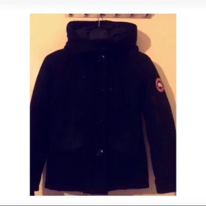  - Canada goose montebello