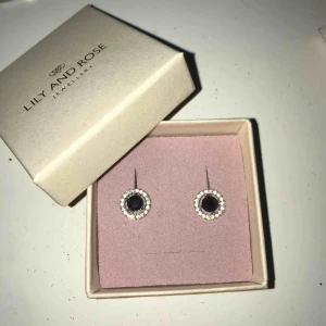  - superfina örhängen från Lily and Rose, alla stenar sitter kvar! Fortfarande i väldigt bra skick!