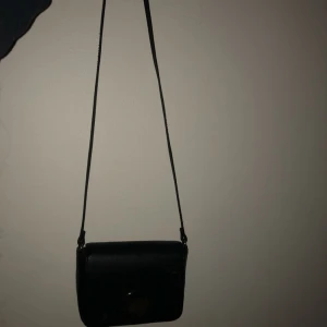  - Sjukt snygg väska! En stor guldring är o kså på men den syns ej :(