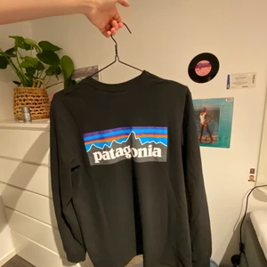 patagonia longsleeve - patagonia longsleeve, najs passform, högsta bud 200:) Frakt tillkommer