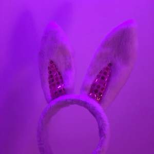 Vita fluffiga kanin öron perfekt t halloween!! Fint skick. Kan mötas upp i sthlm 💕💕