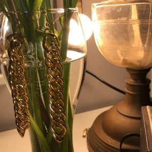 Guldiga örhängen🤩 - Super fina guldiga kedje öronhängen💙Dem är använda två gånger och är i jätte bra skick🌟Köpta från ur&pen😁Frakt tillkommer 