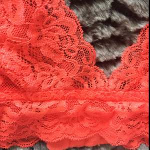 Lace bra 'V' cut both back and front. Coral color.