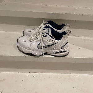 NIKE - NINE SKOR, lite smutsiga men går att tvätta bort, användit nåra gånger, 