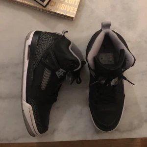  - Air Jordan Spizike
Använda ca 5 gånger 