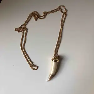 Assnyggt halsband med guldkedja. Bra längd och passar till allt. 