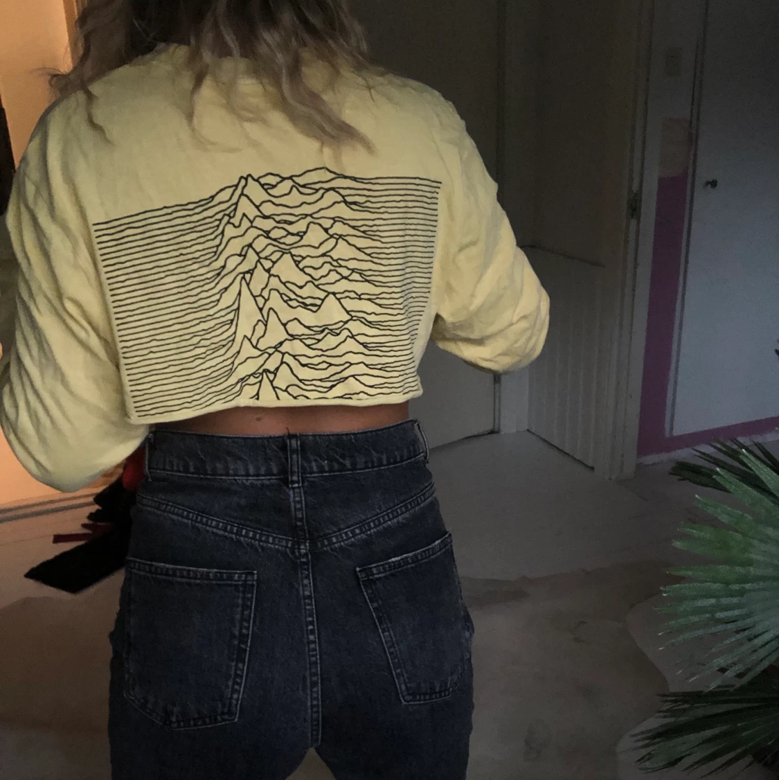 Joy division croppad 