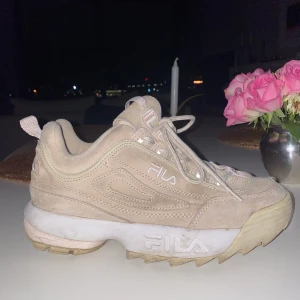 Fila skor - Ett par fila skor som inte längre används. Passar en som har stl 40