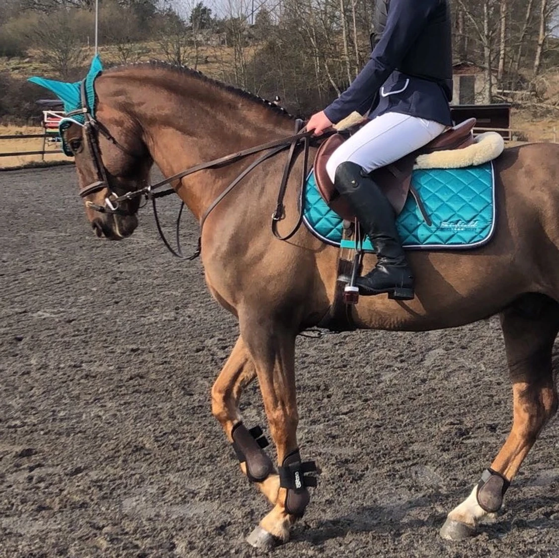 Till den hästintresserade  - 91