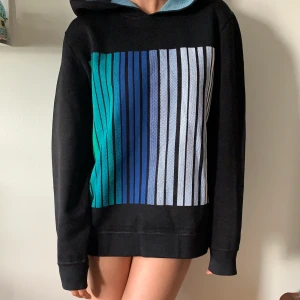 Alexander Wang hoodie - Helt okej skick! Massivt material! 